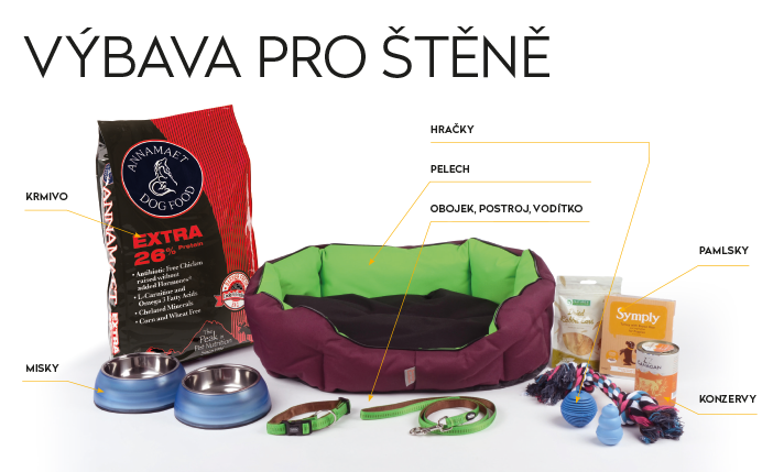 výbava pro štěně